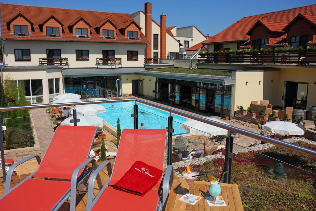 Ringhotel Hotel Zum Stein Oranienbaum-Woerlitz Esterno foto